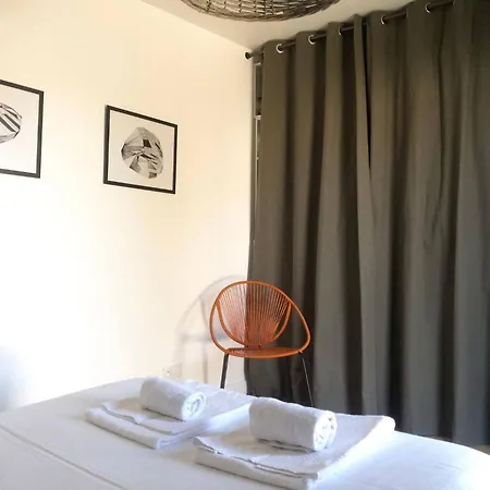 Des Ecureuils A Les Bains Andernos-les-Bains