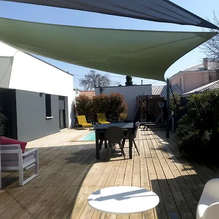 Des Ecureuils A Les Bains Andernos-les-Bains