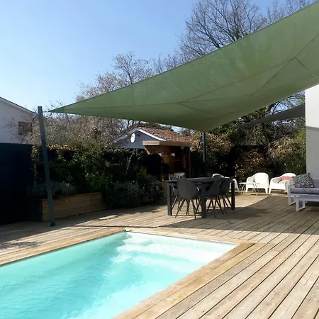 Des Ecureuils A Les Bains Andernos-les-Bains