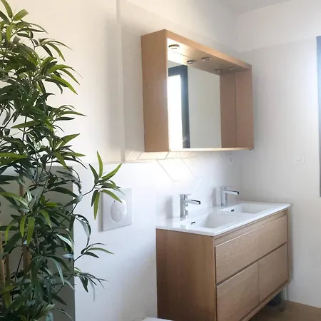Des Ecureuils A Les Bains Andernos-les-Bains
